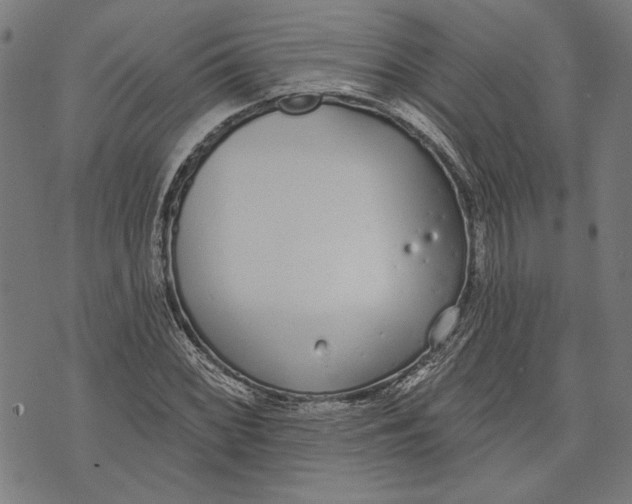 X0000071771068200607211526