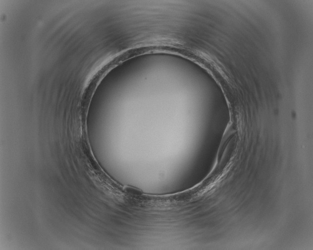 X0000071771069200607211526