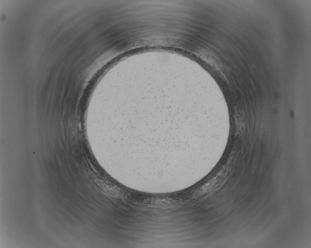 X0000071771070200607211526