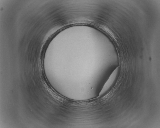 X0000071771072200607211526