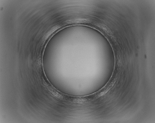 X0000071771073200607211526