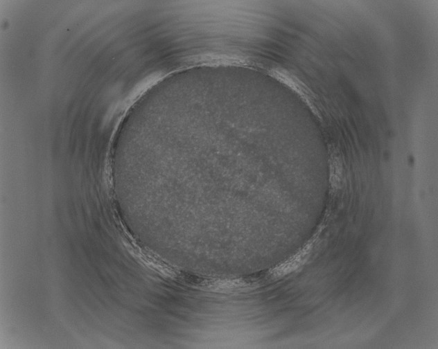 X0000071771074200607211526