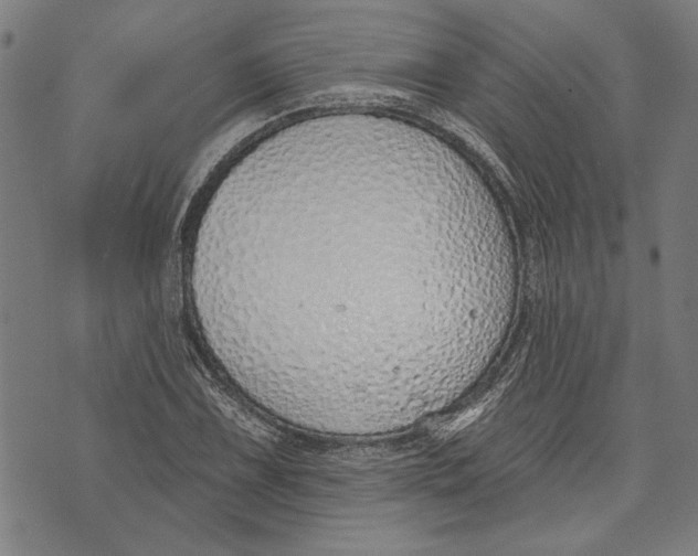 X0000071771075200607211526