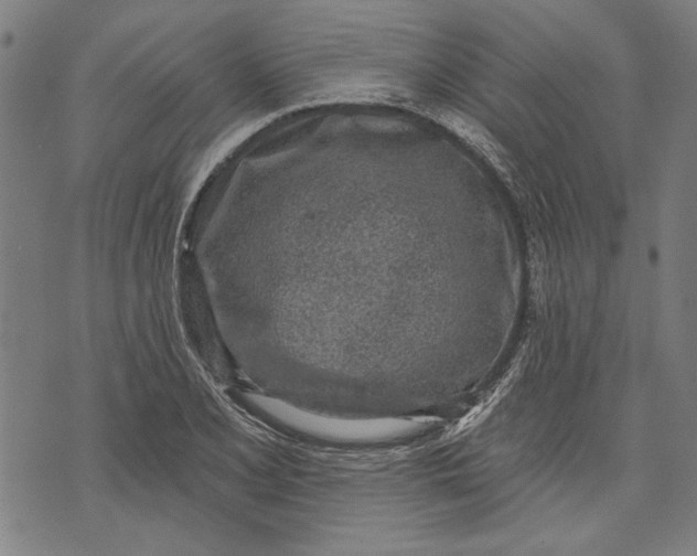 X0000071771077200607211526