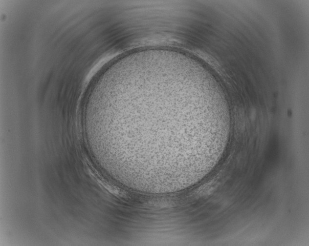 X0000071771078200607211526