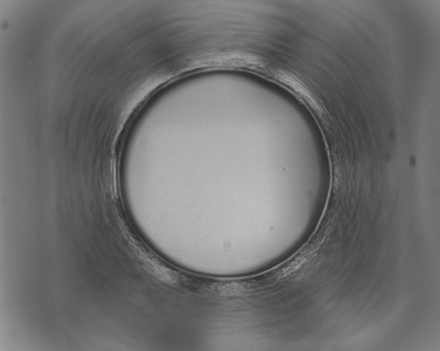 X0000071771079200607211526