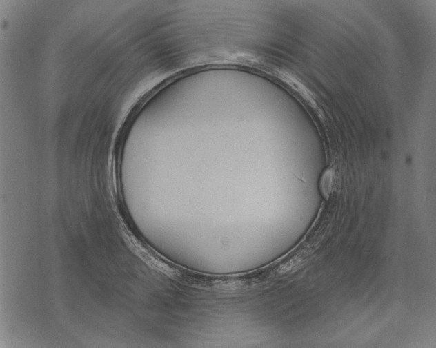 X0000071771080200607211526