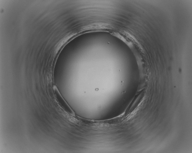 X0000071771081200607211526