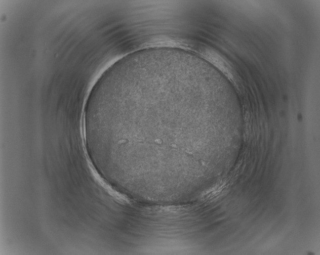 X0000071771084200607211526