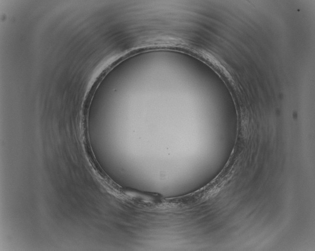 X0000071771085200607211526