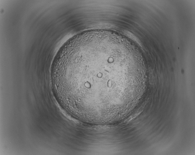 X0000071771087200607211526