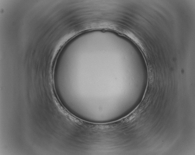 X0000071771088200607211526