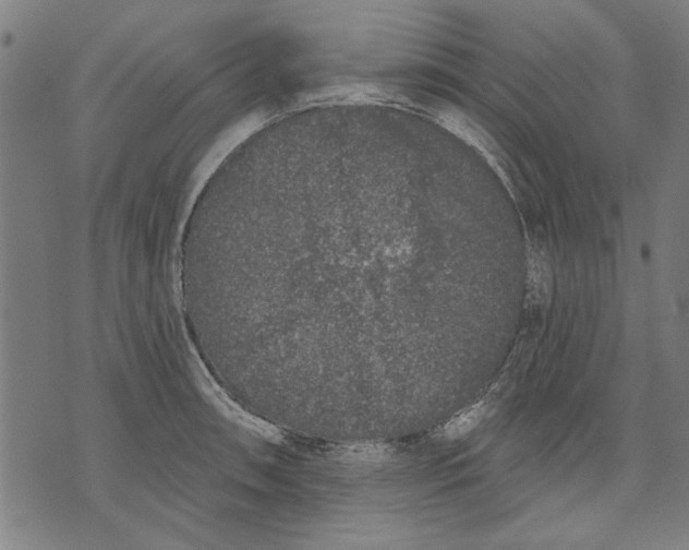 X0000071771090200607211526