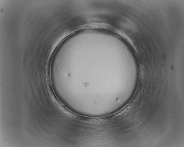 X0000071771091200607211526