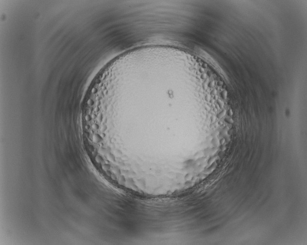 X0000071771092200607211526