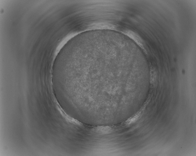 X0000071771094200607211526