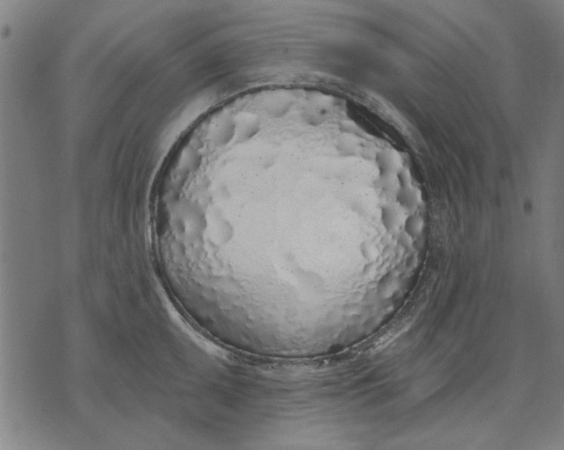 X0000071771095200607211526