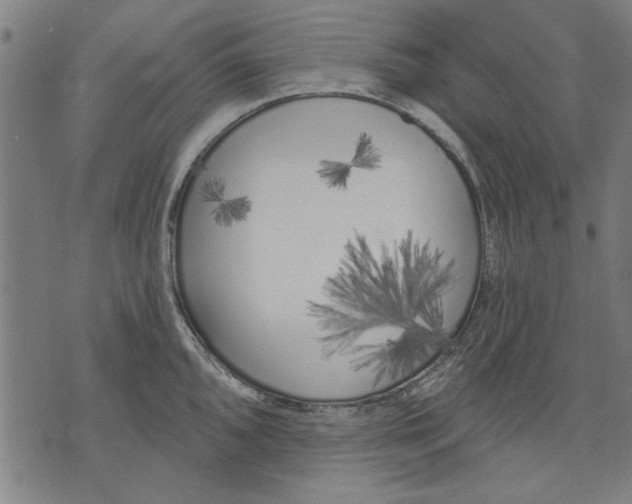 X0000071771096200607211526