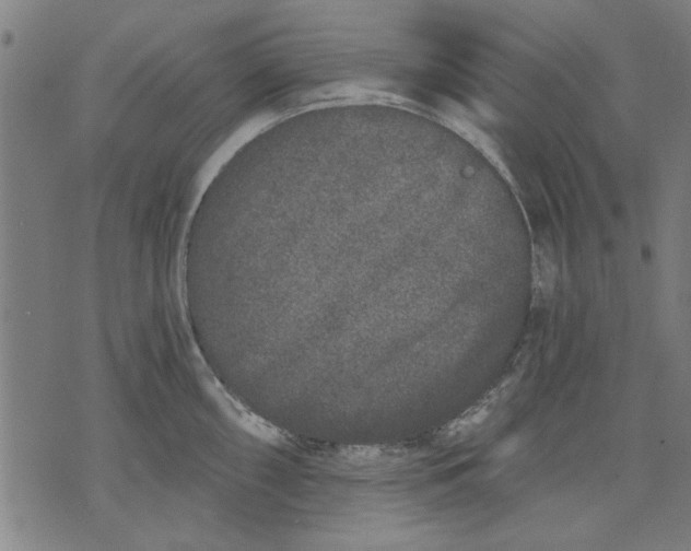 X0000071771098200607211526