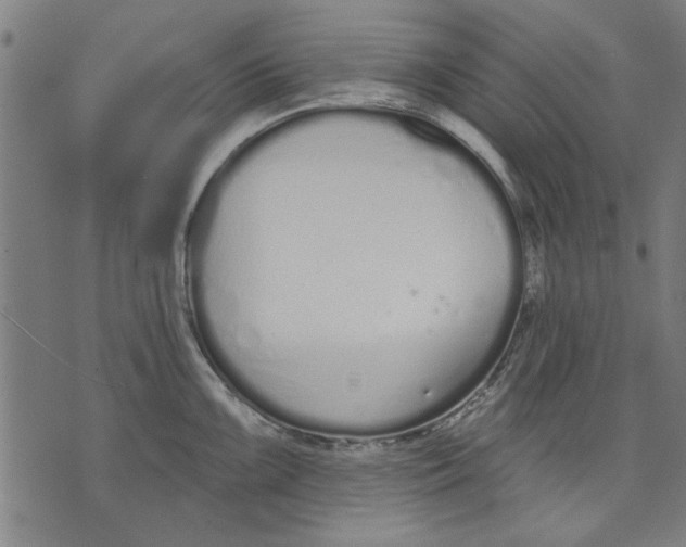 X0000071771099200607211526