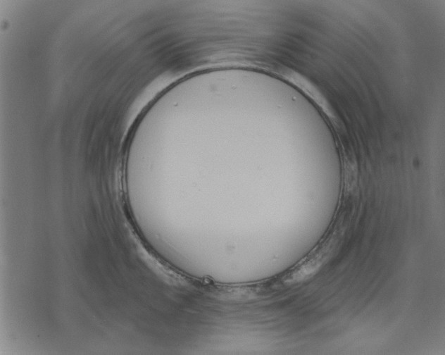 X0000071771101200607211526