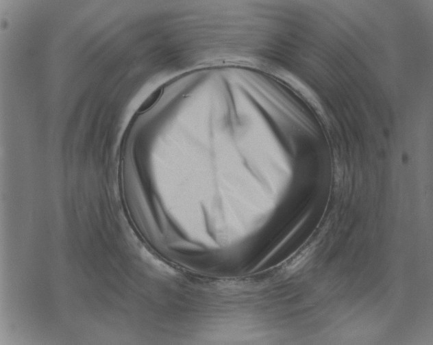 X0000071771102200607211525