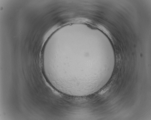 X0000071771103200607211525