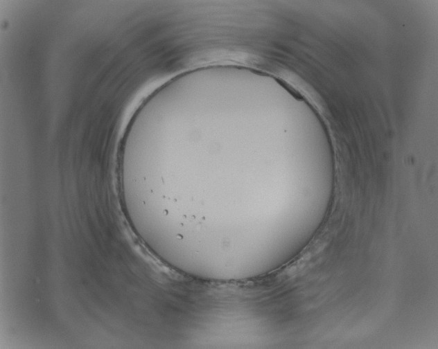 X0000071771104200607211525