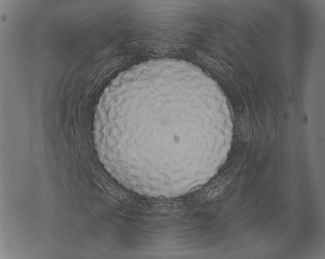 X0000071771105200607211525