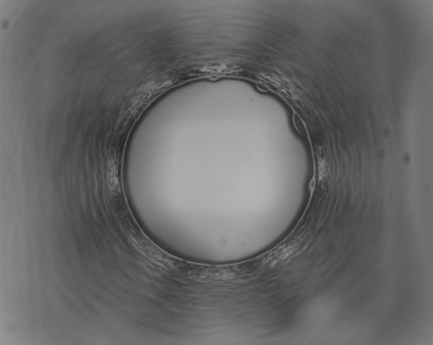 X0000071771106200607211525