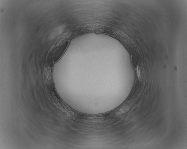 X0000071771107200607211525