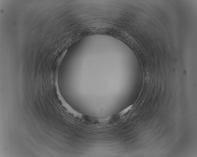 X0000071771108200607211525