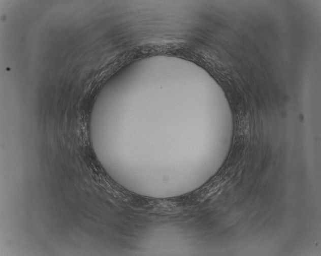 X0000071771109200607211525