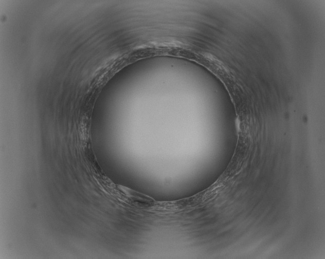 X0000071771110200607211525