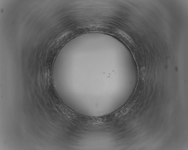 X0000071771111200607211525