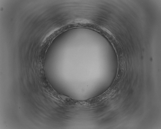 X0000071771112200607211525