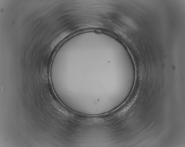 X0000071771113200607211525