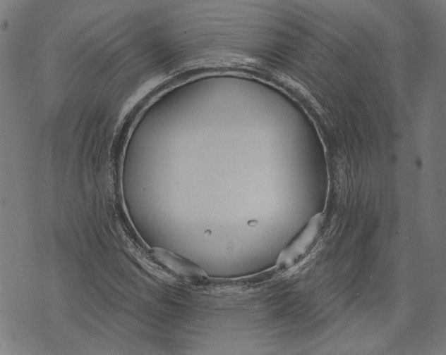 X0000071771114200607211525