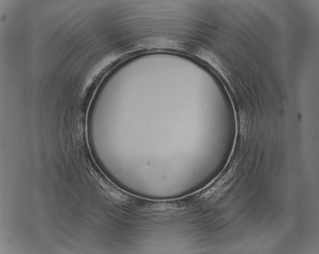 X0000071771115200607211525