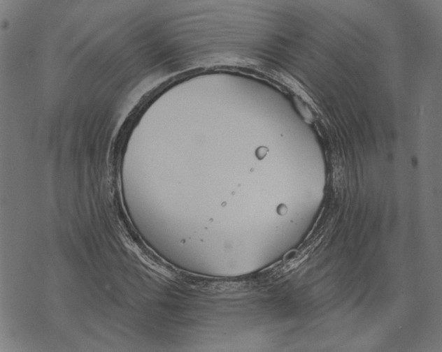 X0000071771116200607211525