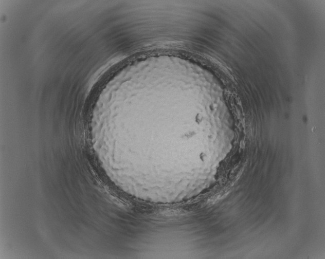 X0000071771117200607211525