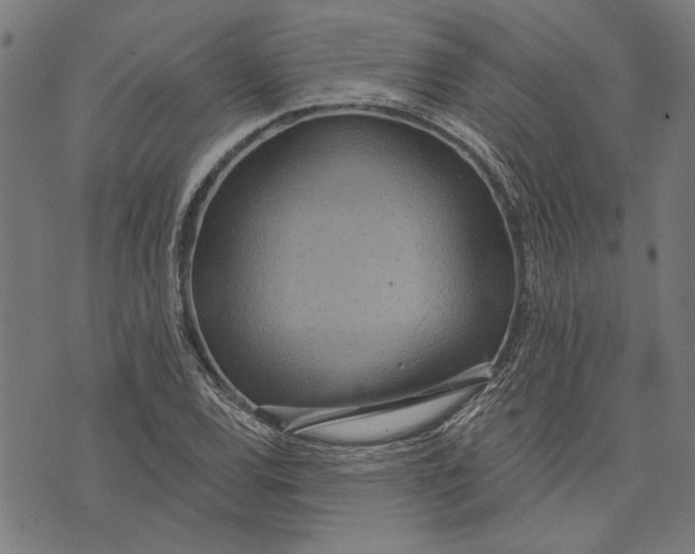 X0000071771120200607211525