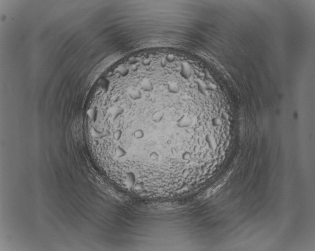 X0000071771121200607211525