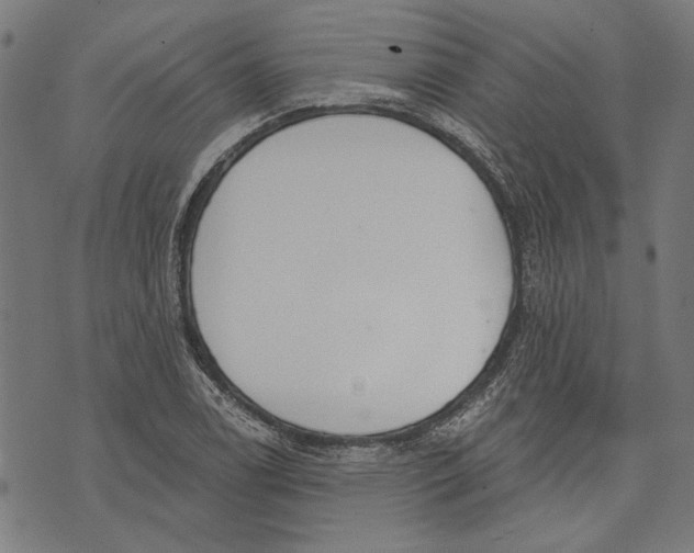 X0000071771122200607211525