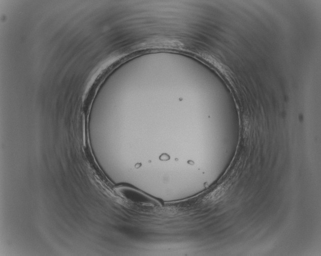 X0000071771123200607211525