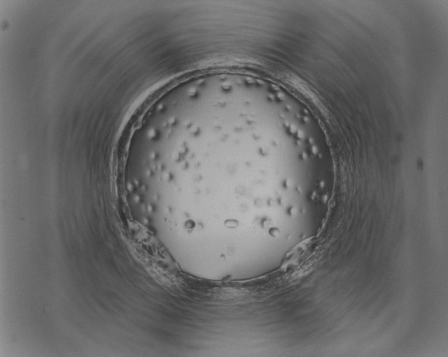 X0000071771124200607211525