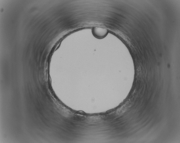 X0000071771126200607211525