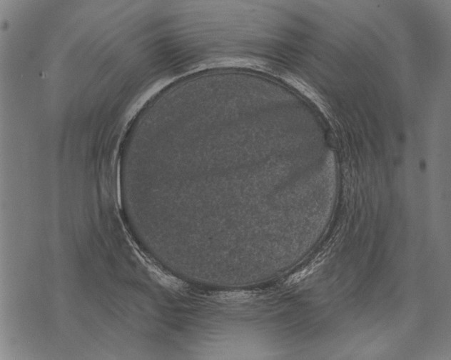 X0000071771127200607211525