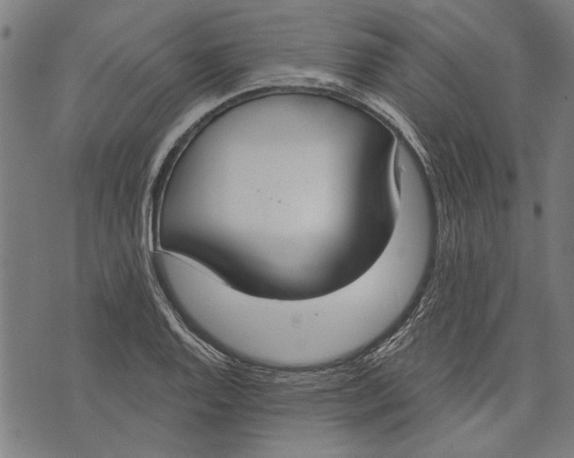 X0000071771128200607211525