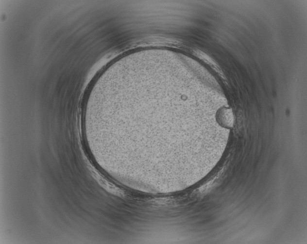 X0000071771130200607211525